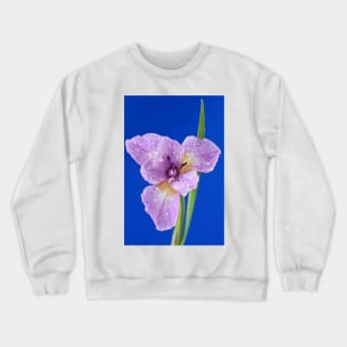 Iris Crewneck Sweatshirt